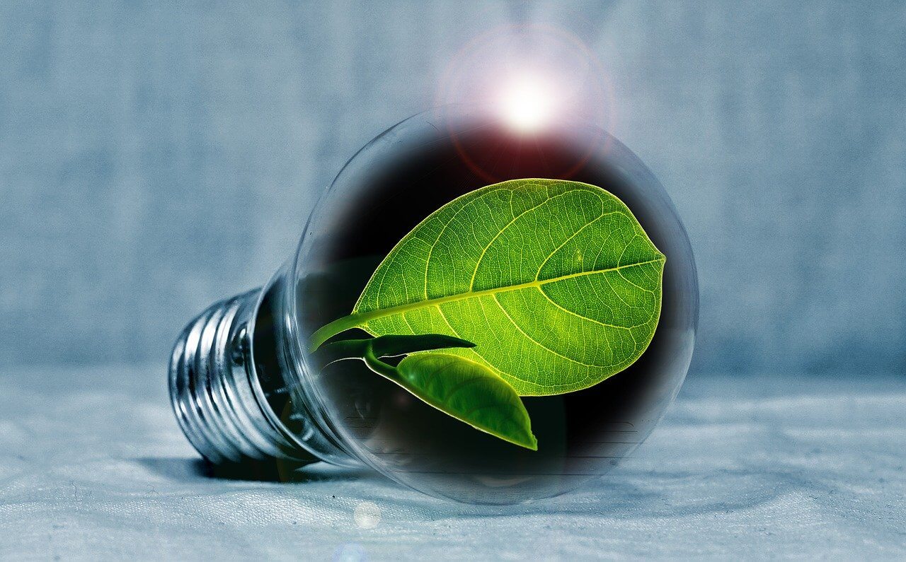 going green lightbulb