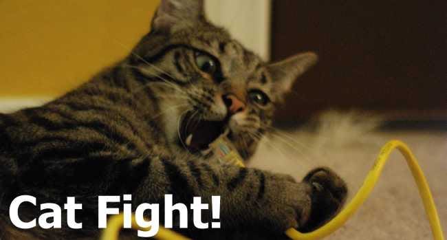 cat ethernet fight