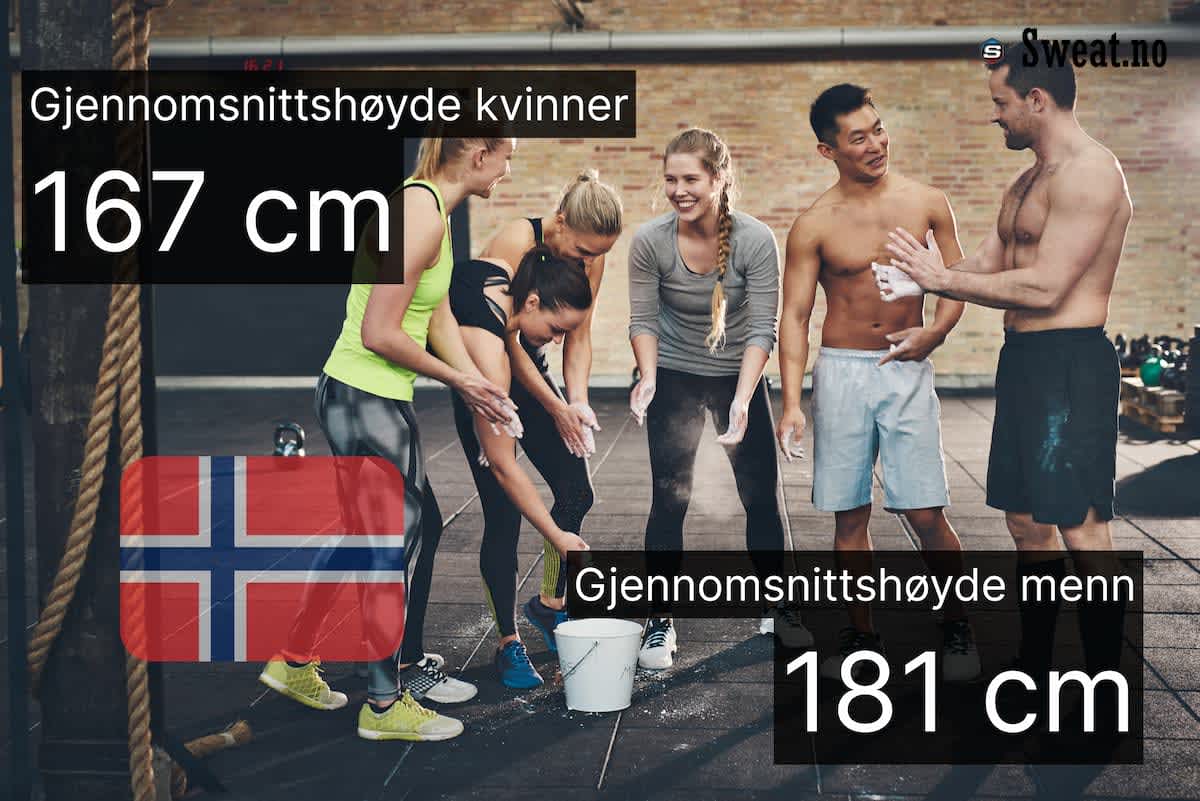 Gjennomsnittshøyde i norge