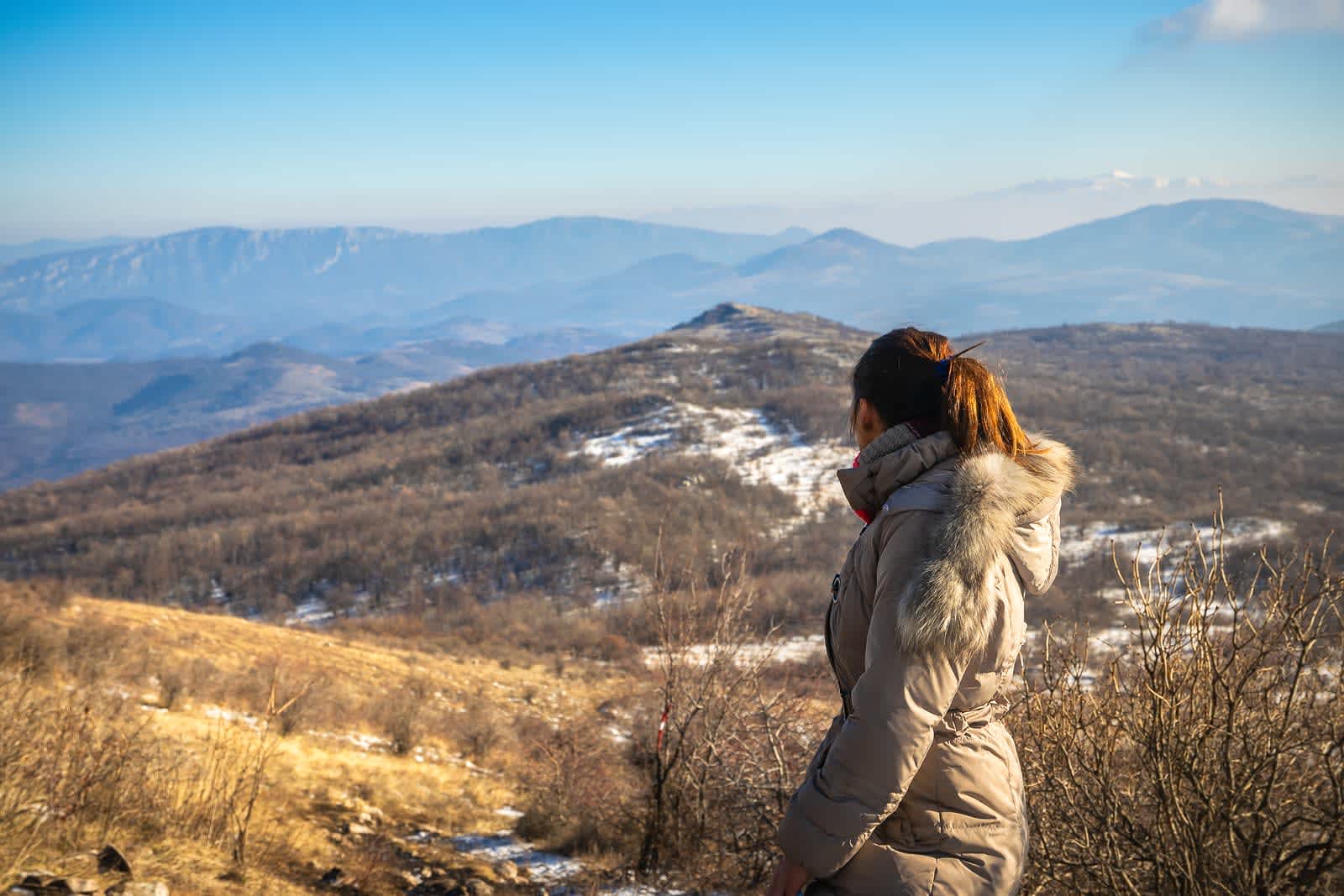 bergans gratis frakt