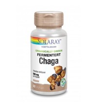 Veganske Chaga tabletter