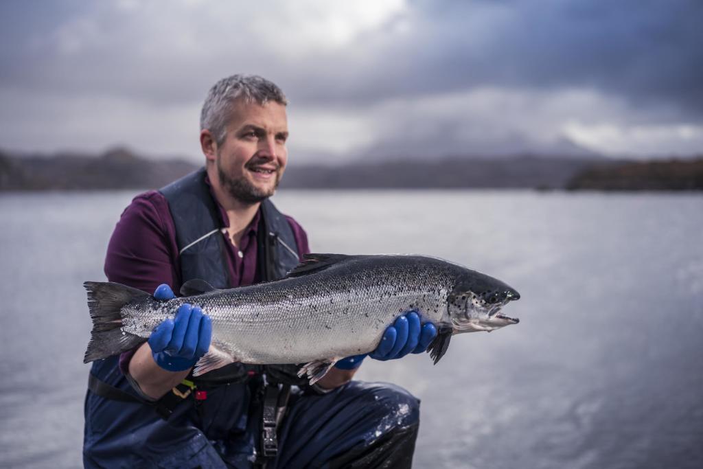 Loch Duart - salmon