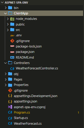Dotnet SPA Folder Structure