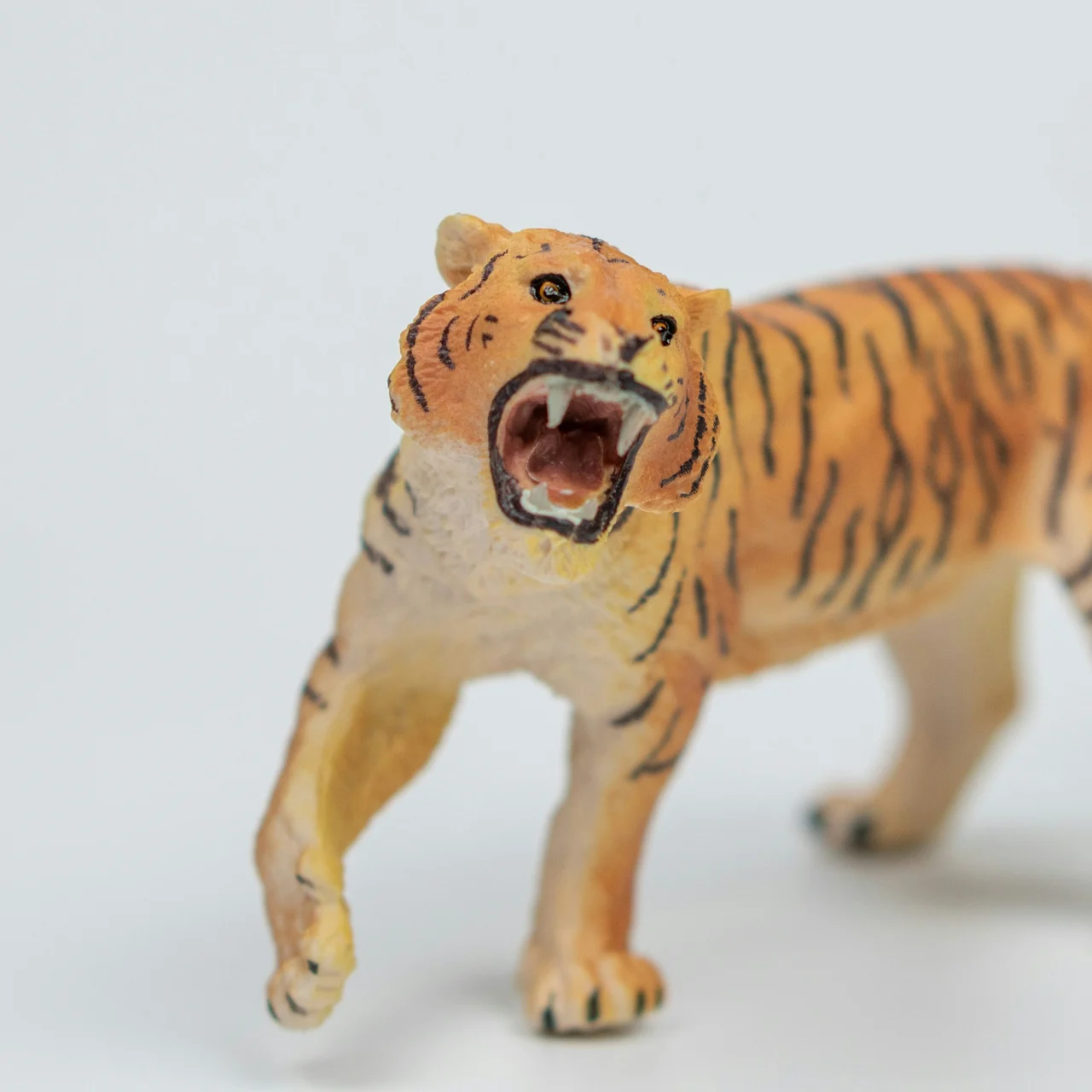 Child tiger
