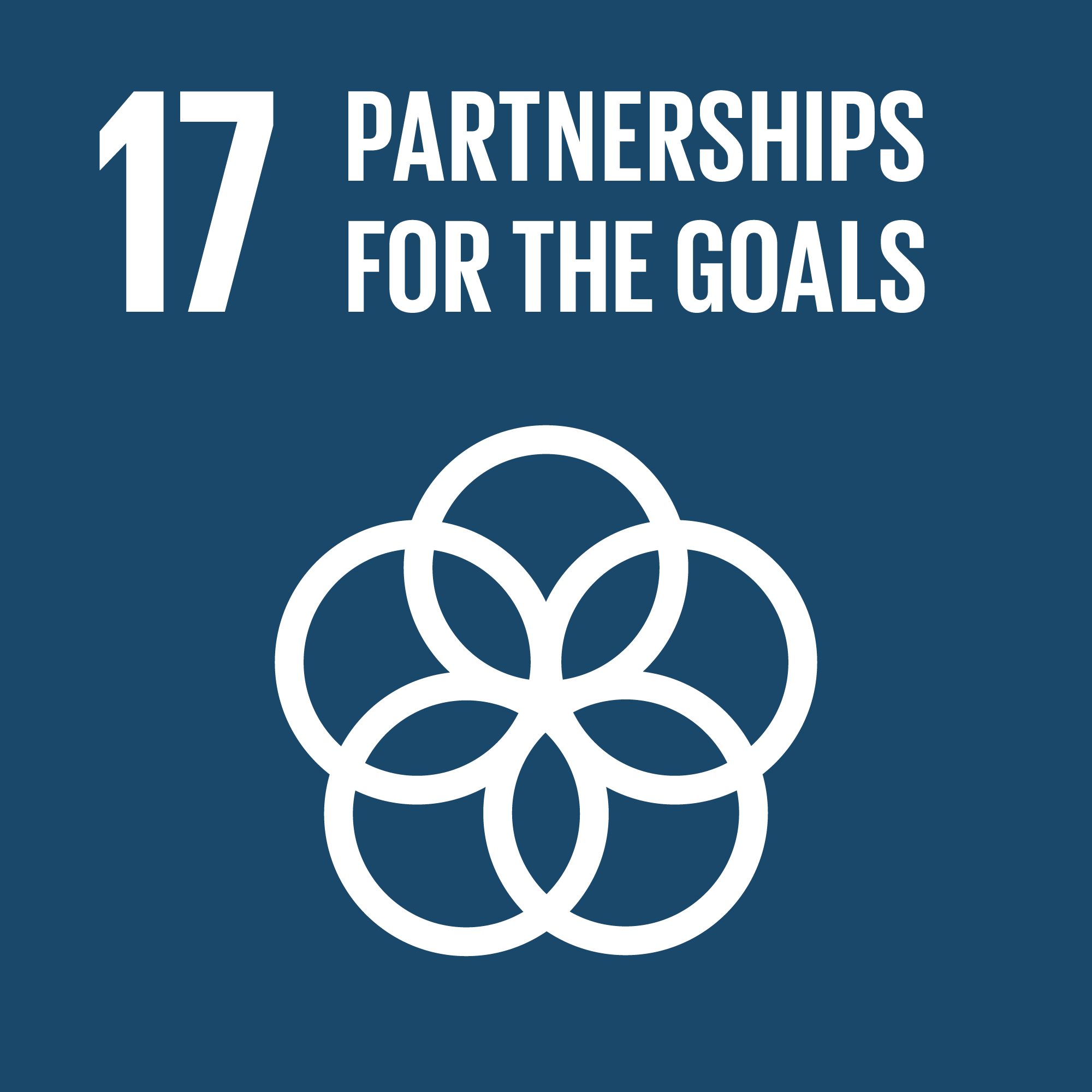 17 - Partnerships for the goals