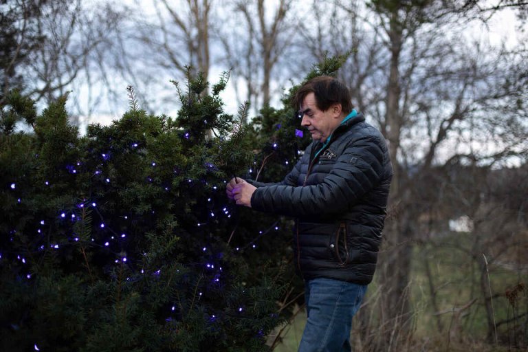 Mann henger opp julelys på en busk