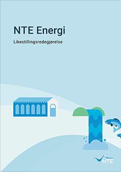 Likestillingsredegjørelse for NTE Energi