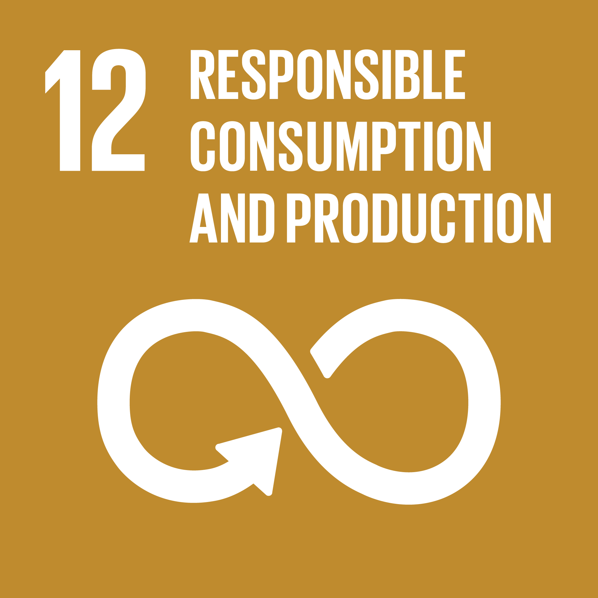 12 - Responsible consumption and production