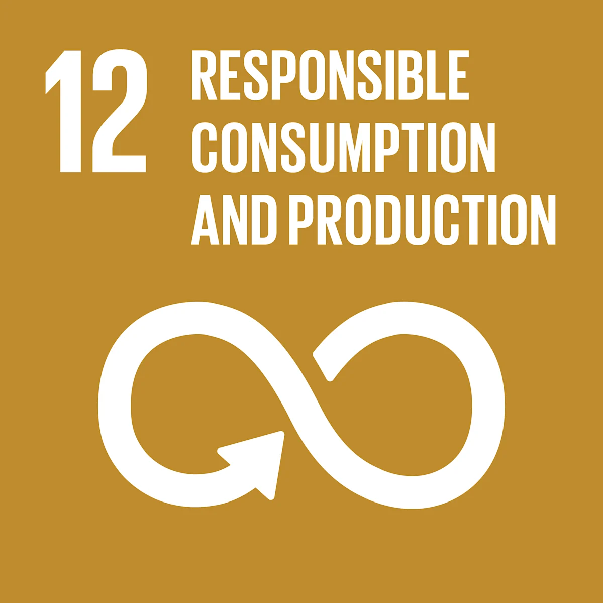 12 - Responsible consumption and production 12 - Responsible consumption and production