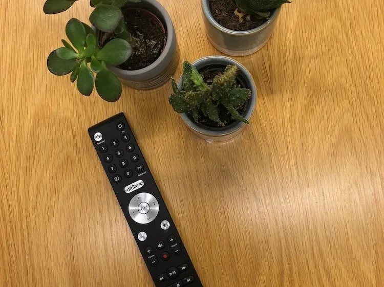 planter To små planter sammen med en Altibox fjernkontroll