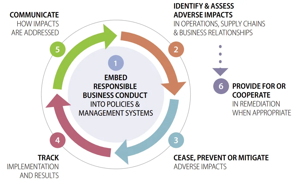 OECD six-step due diligence process for responsible business conduct Circular diagram of the OECD six-step due diligence process for responsible business conduct: embed, identify and assess, cease/prevent/mitigate, track, communicate, and provide for or cooperate in remediation.