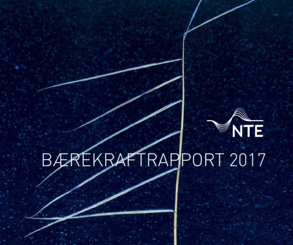 Cover NTE bÃ¦rekraftsrapport 2017