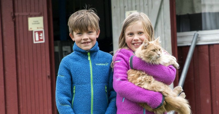 To barn holder en katt