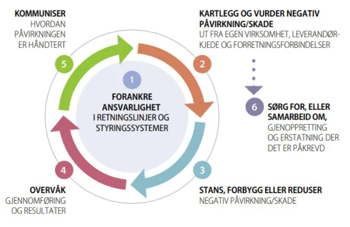 Åpenhetsloven i NTE Oversikten viser hvordan NTE jobber med åpenhetsloven