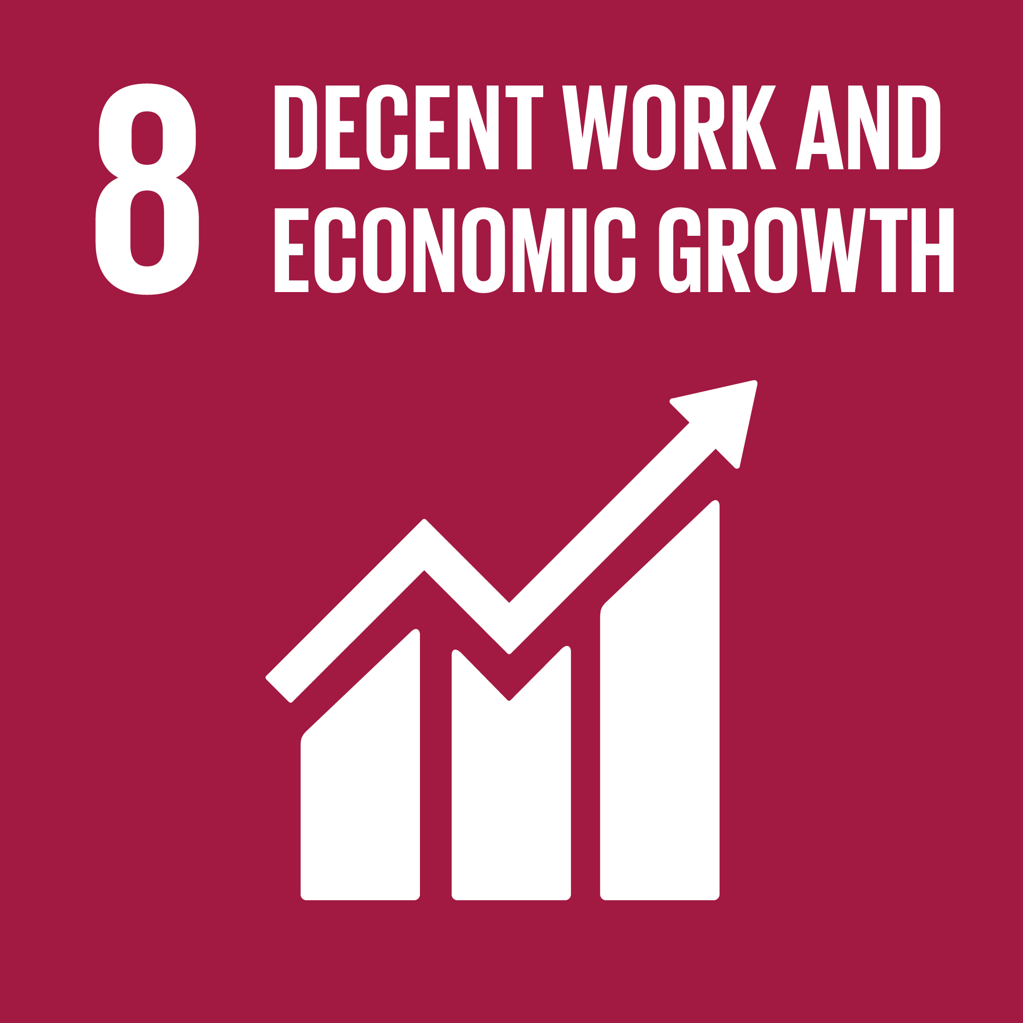 8 - Decent work and economic growth