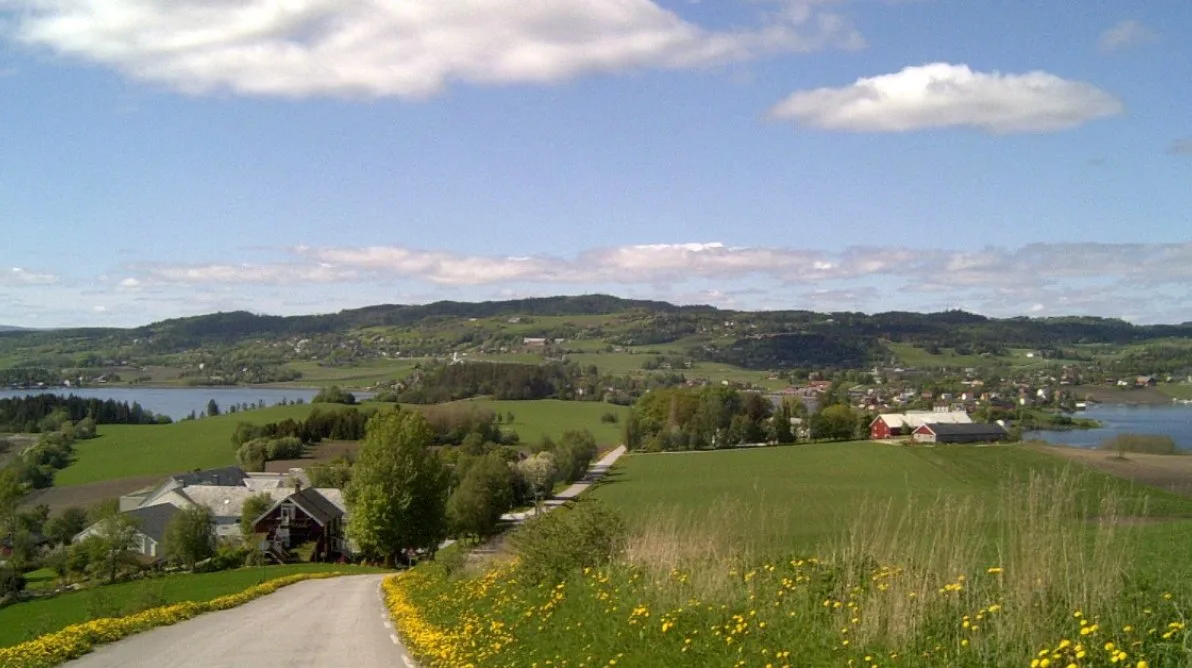 Trøndelag Gårdsmark med flere hus og gårder i bakgrunnen