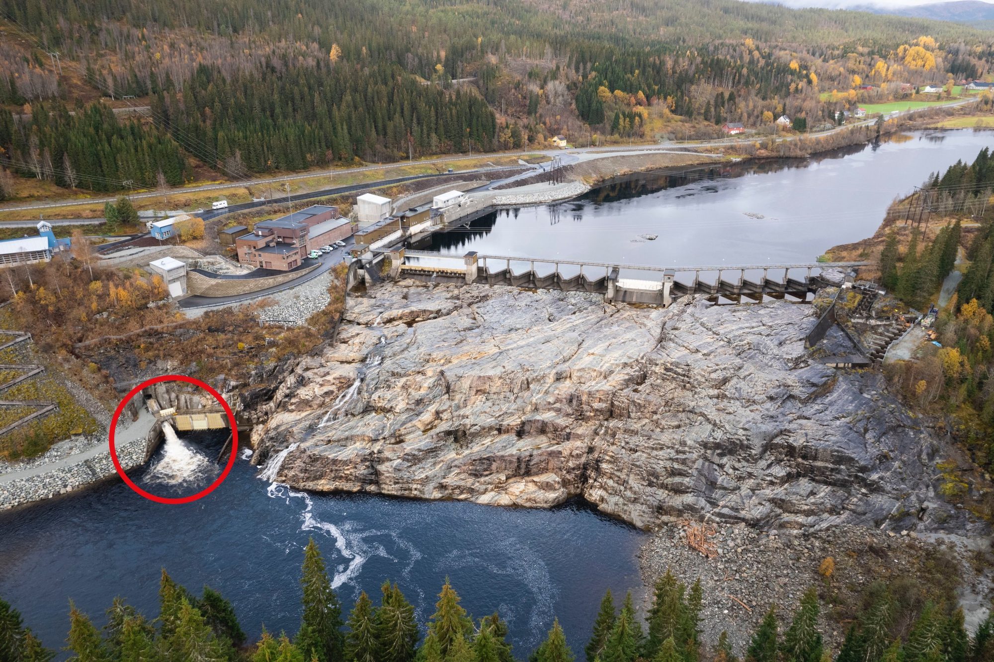 Nedre Fiskumfoss utgang laksesklie