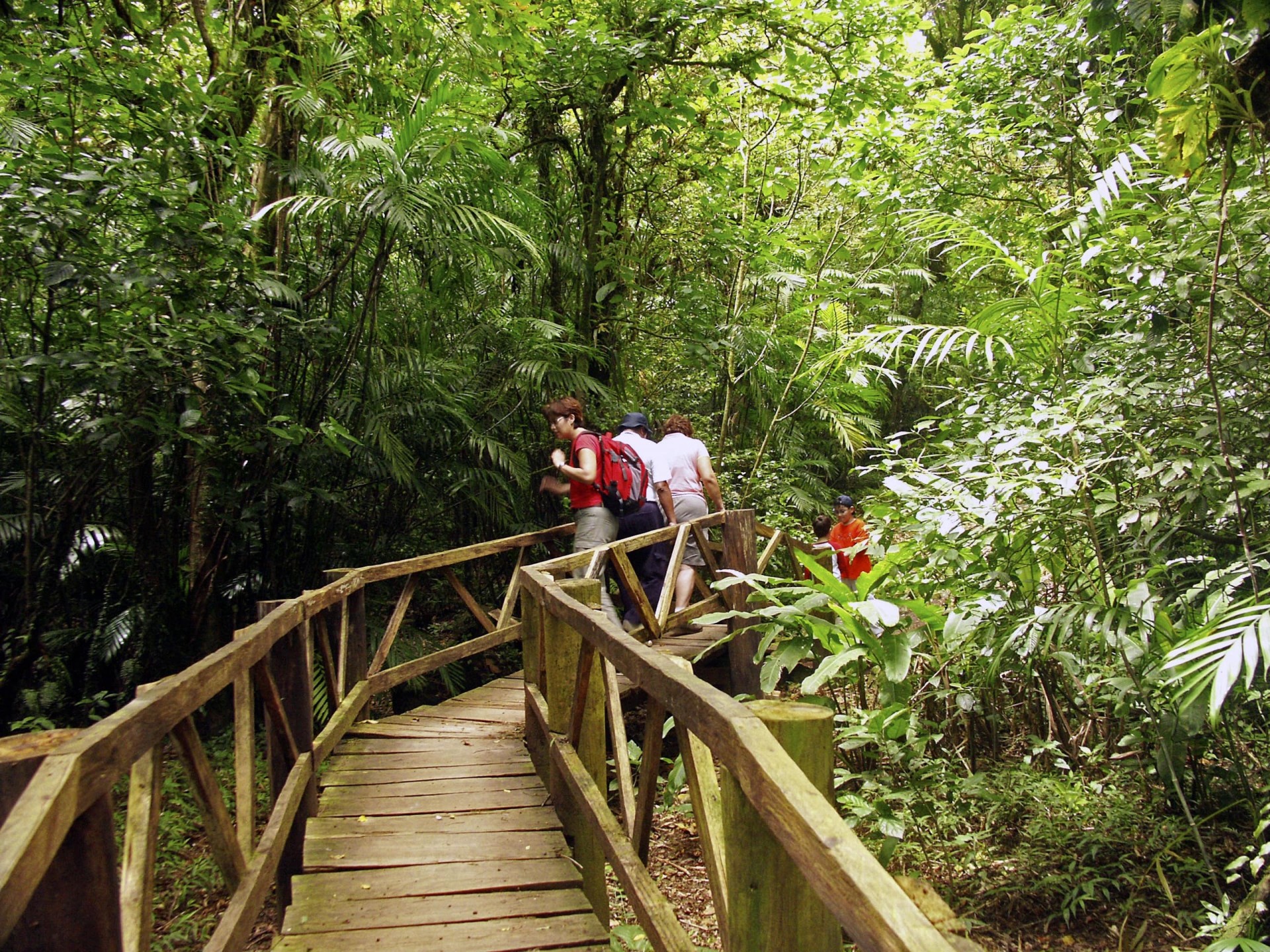 Aventura en el Volcán Mombacho