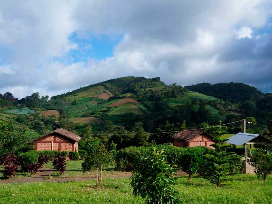 Jinotega, Pulmón de Centroamérica Nicaragua's Best Guides