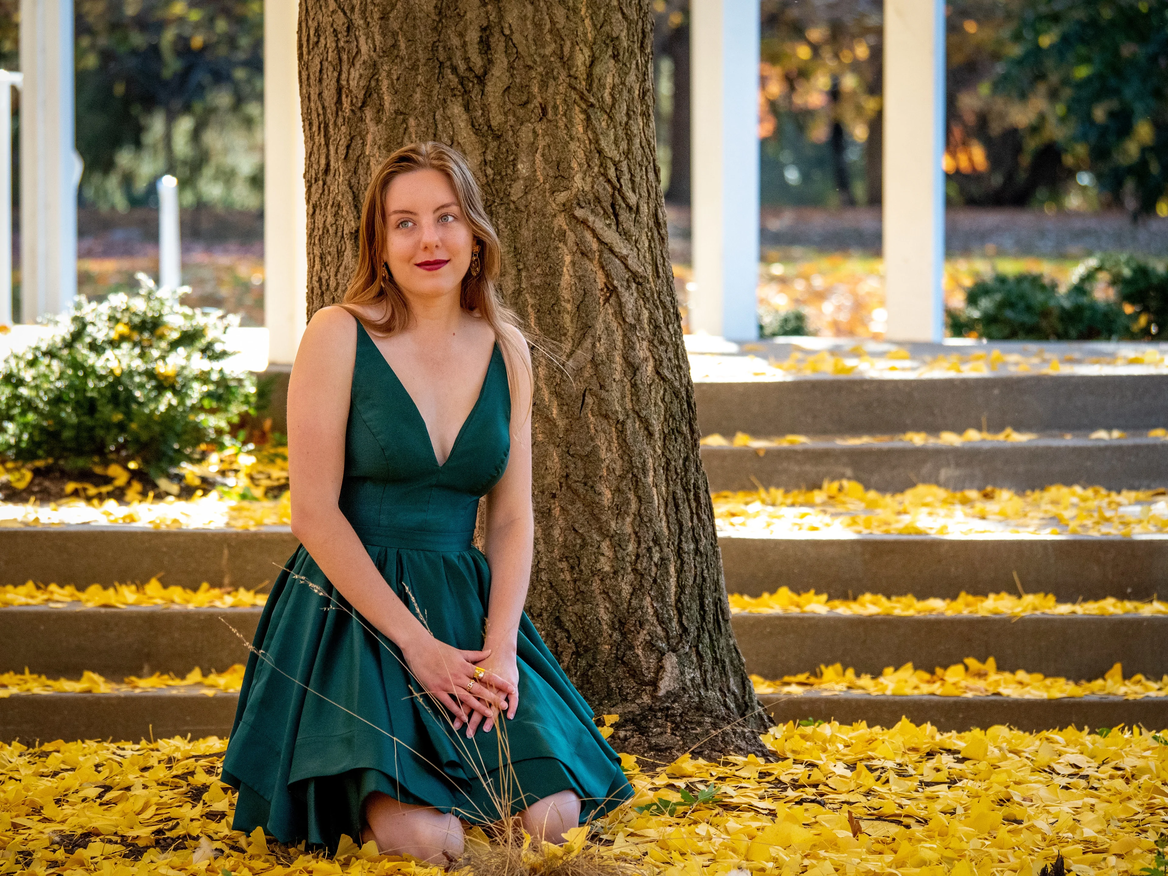 Seated pose in teal V-neck gown beside tree trunk on steps covered with yellow fall leaves