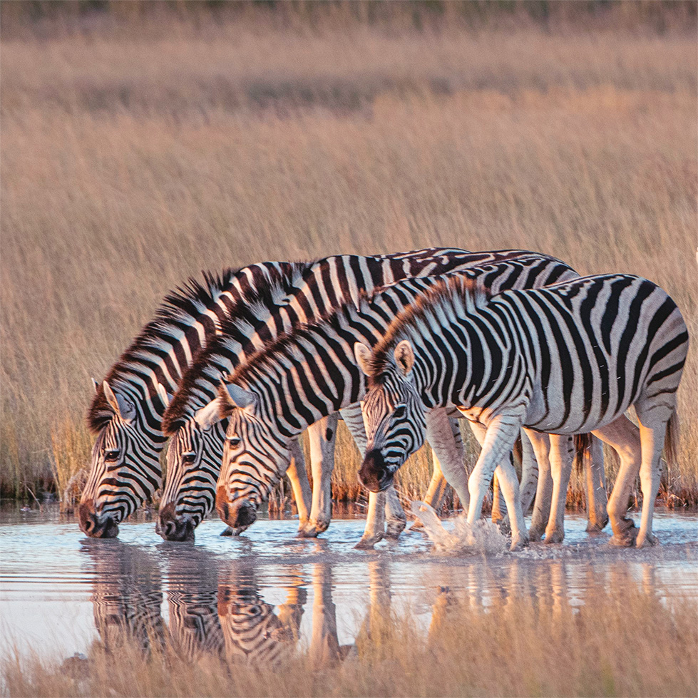 Dry season photography
