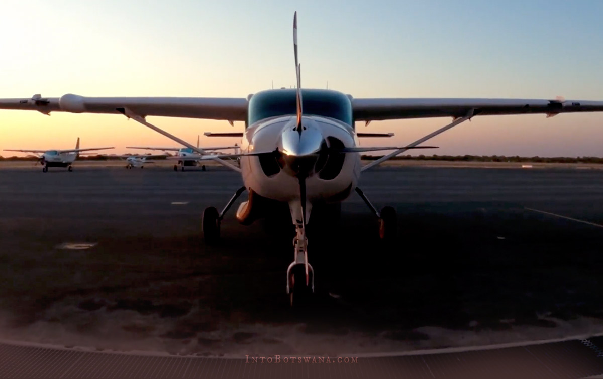 Our fleet of safari aircraft