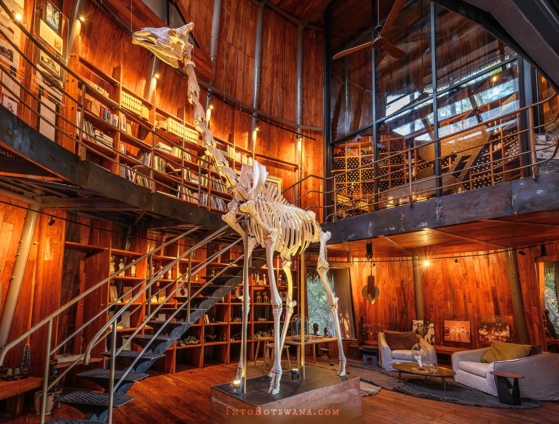 Natural History museum at Jao Camp