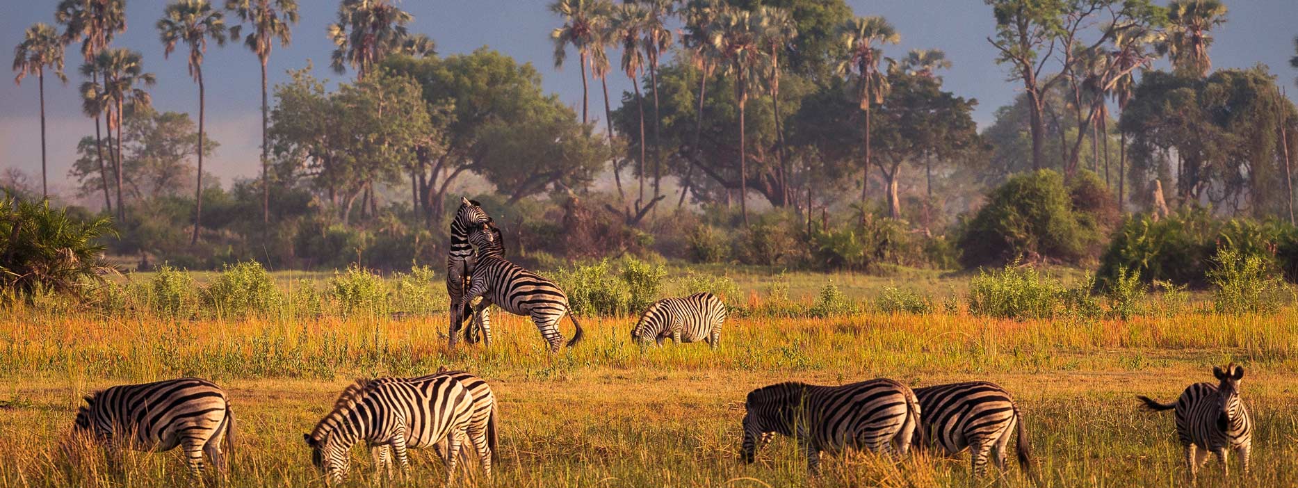 Guided Safaris® Botswana Map