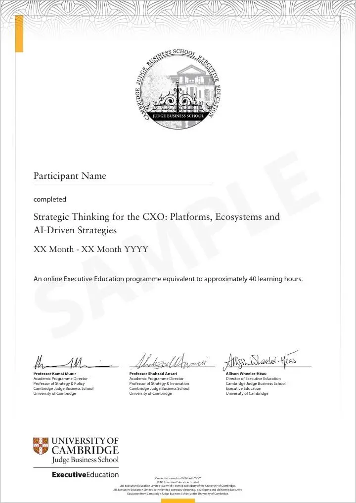 Example image of certificate of participation that will be awarded upon completetion of the programme