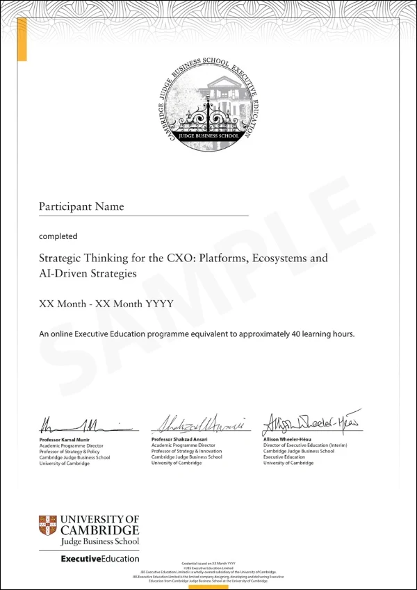 Example image of certificate of participation that will be awarded upon completetion of the programme 