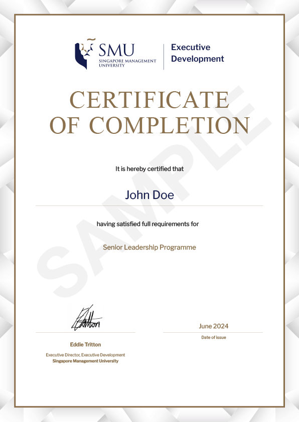 Programme Certificate