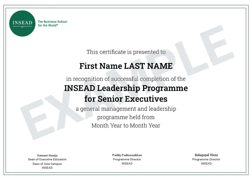 INSEAD ILPSE Certificate Sample Image