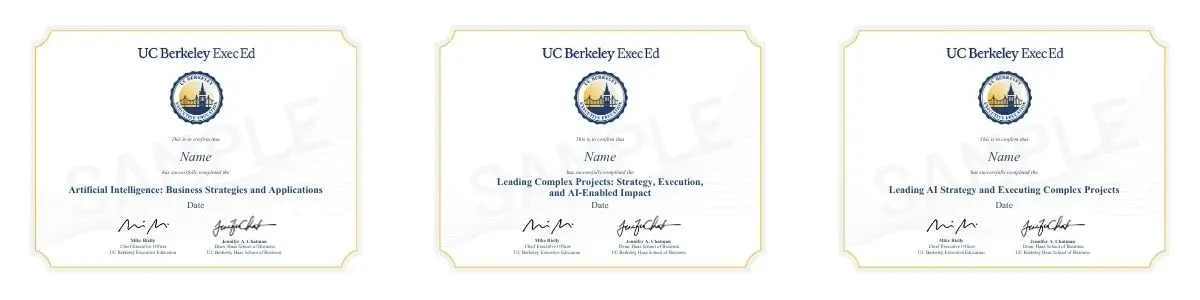 Example image of certificate of participation that will be awarded upon completetion of the program