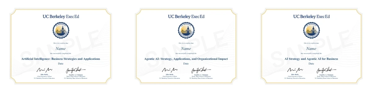 Example image of certificate of participation that will be awarded upon completetion of the program