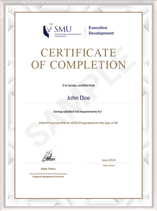 Chief Financial Officer (CFO) Programme in the Age of AI Completion Certificate