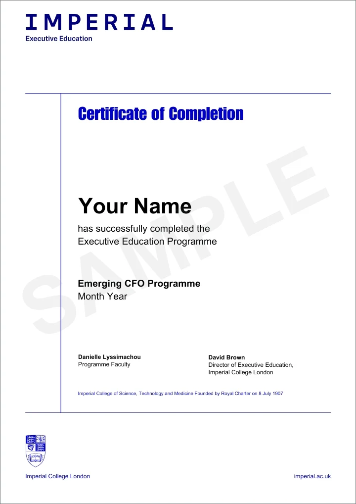 Example image of certificate of participation that will be awarded upon completion of the programme