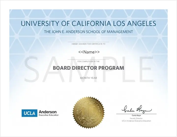 Example image of certificate of Board Director Program