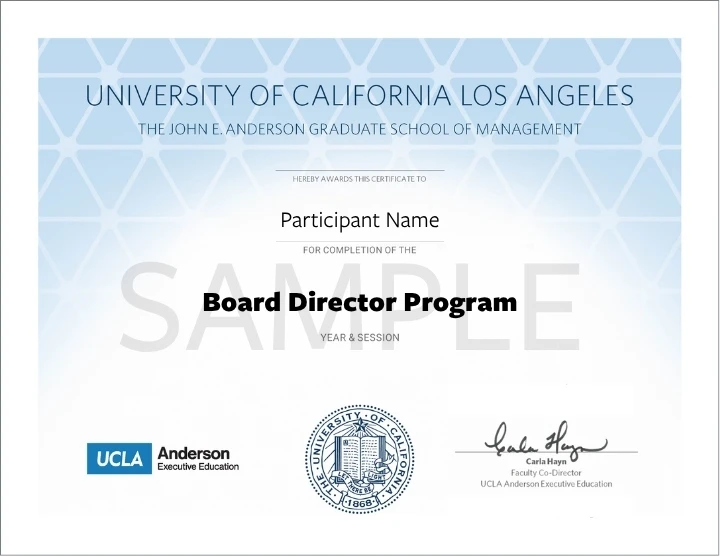 Example image of certificate of Board Director Program