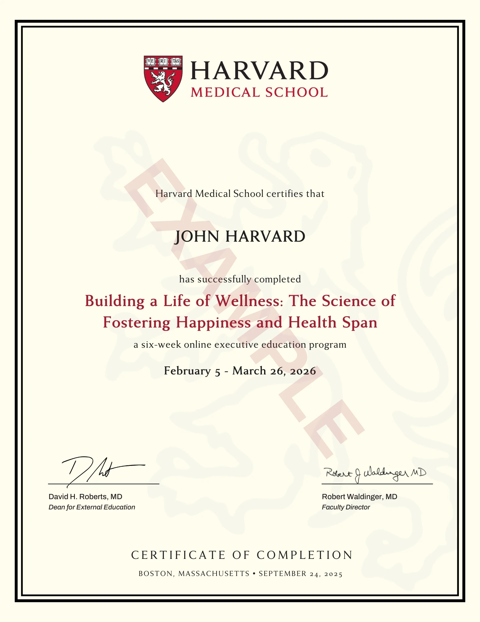 Example image of certificate that will be awarded upon successful completion of the program Example image of certificate that will be awarded upon successful completion of the program