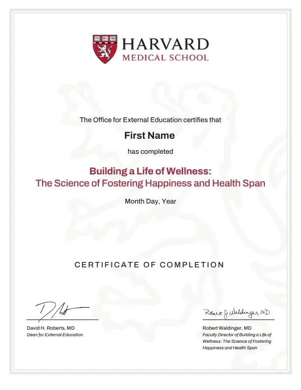 Example image of certificate that will be awarded upon successful completion of the program 