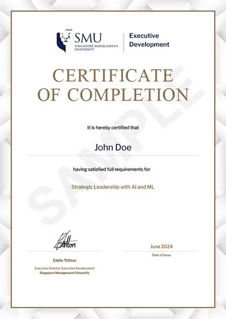 Programme Completion Certificate