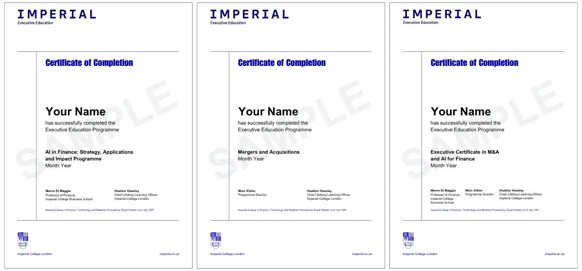 Example image of certificate of participation that will be awarded upon completetion of the programme 