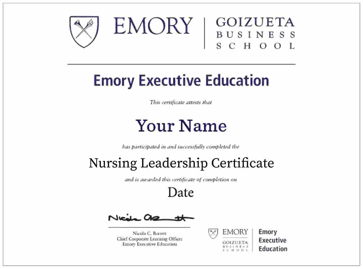 Example image of certificate that will be awarded after successful completion of this program