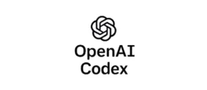 Tools OpebAI Codex 300x130