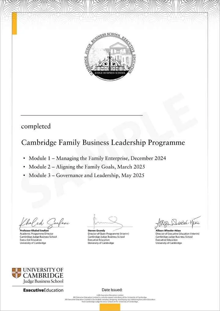 Example image of certificate of participation that will be awarded upon completion of the programme