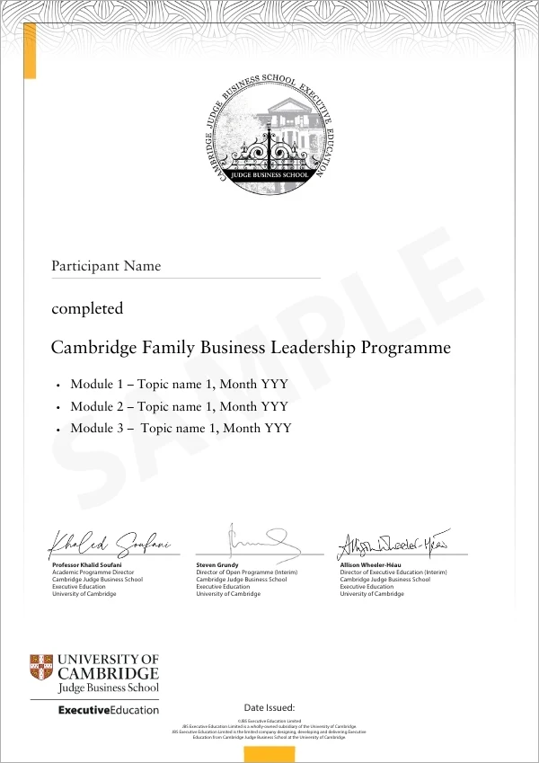 Example image of certificate of participation that will be awarded upon completion of the programme