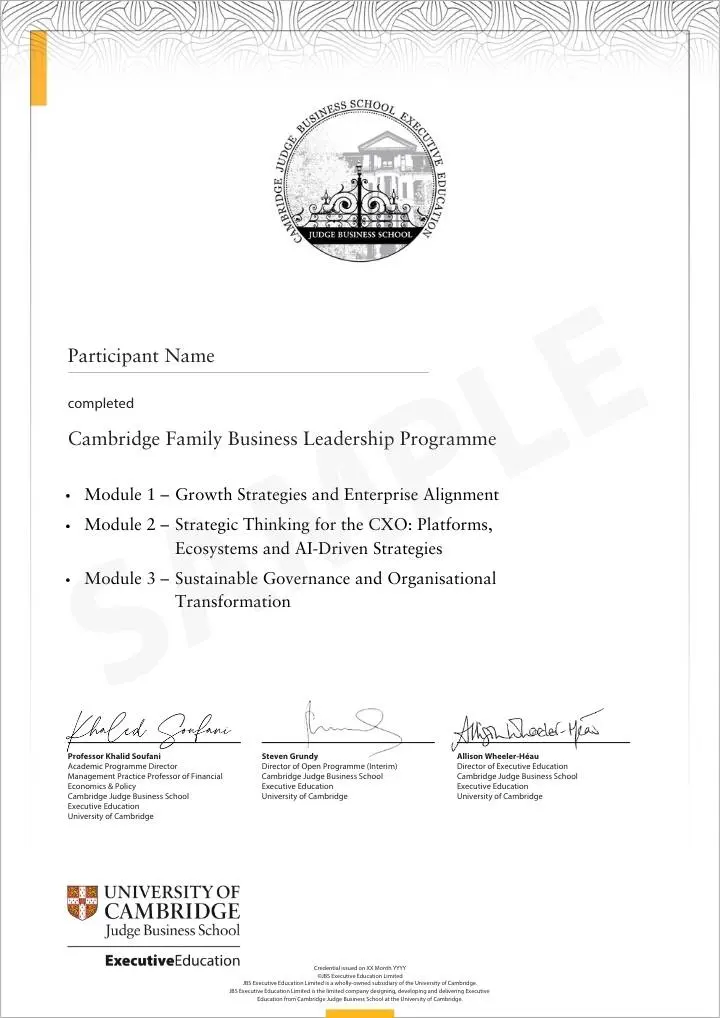 Example image of certificate of participation that will be awarded upon completion of the programme