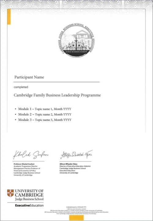 Example image of certificate of participation that will be awarded upon completion of the programme