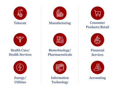 Past participant profiles - Top industries