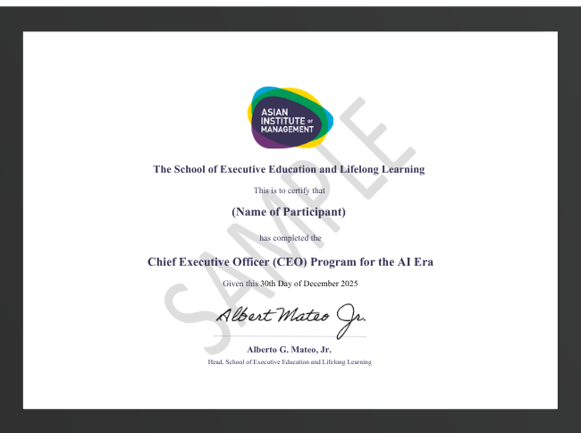 What Program Certificate Is Awarded on Completion of the Chief Executive Officer (CEO) Program for the AI Era?